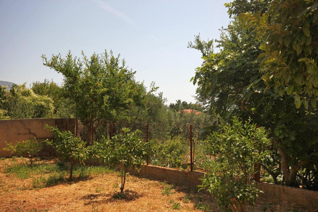 Apartments And Rooms With Parking Space Orebic, Peljesac - 10191 Buitenkant foto